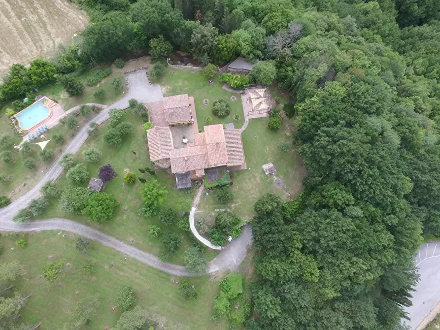 Immagine 2 di Villa in vendita  a Casciana Terme Lari