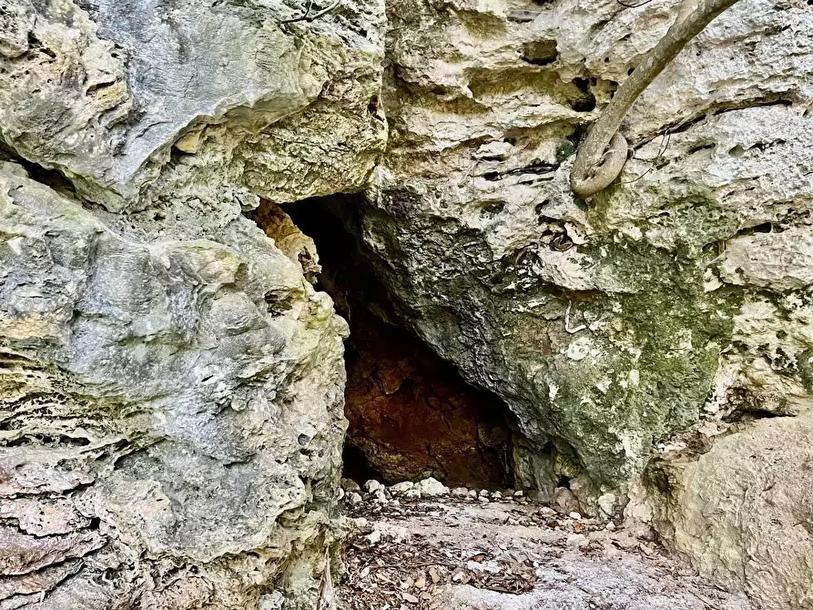 Immagine 73 di Villa in vendita  a Casciana Terme Lari