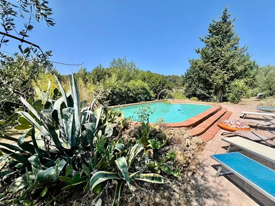 Immagine 59 di Villa in vendita  a Casciana Terme Lari