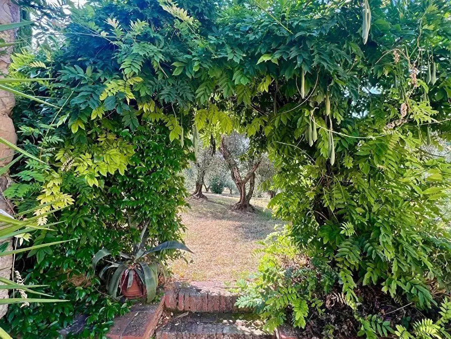 Immagine 70 di Villa in vendita  a Casciana Terme Lari