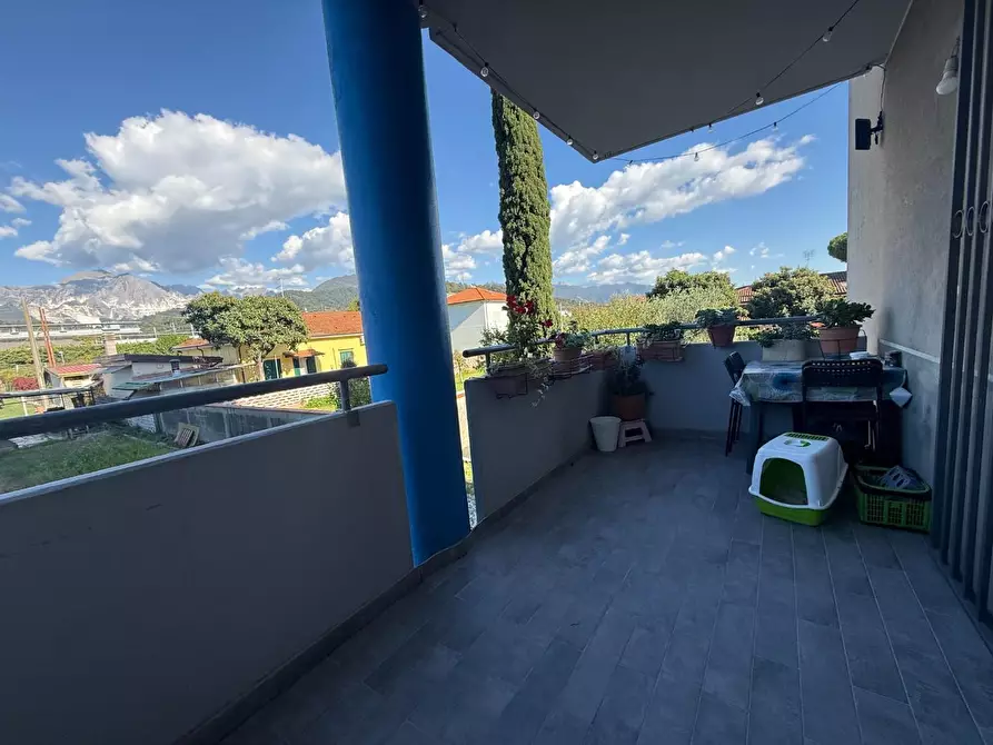 Immagine 17 di Appartamento in vendita  a Carrara