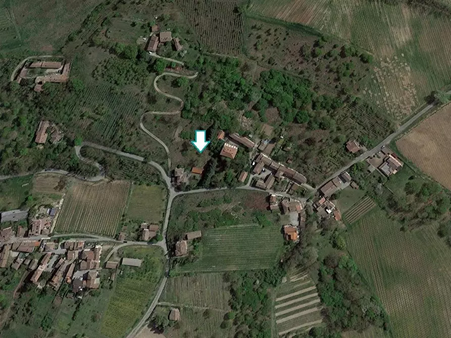 Immagine 1 di Terreno agricolo in vendita  a Santa Giuletta
