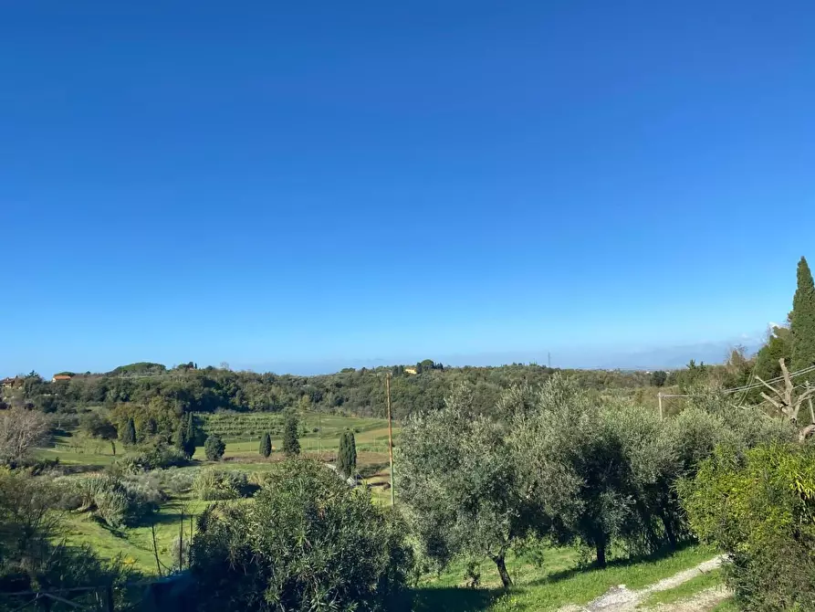 Immagine 3 di Villa in vendita  a Casciana Terme Lari
