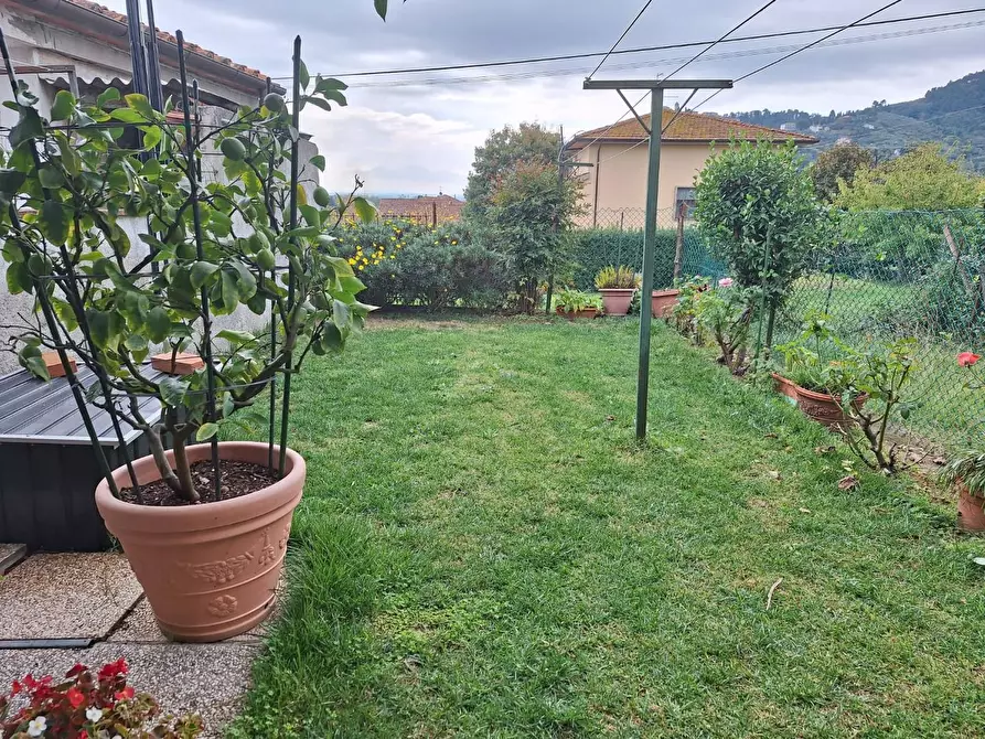 casa indipendente in vendita a Capannori