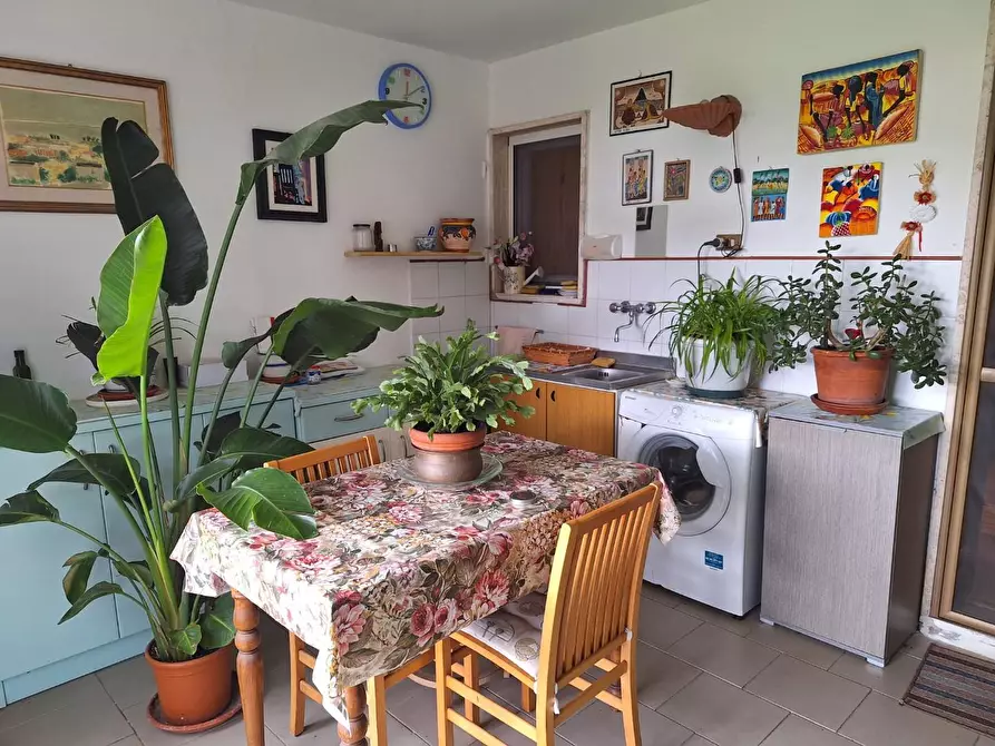 Immagine 2 di Terratetto in vendita  a Capannori