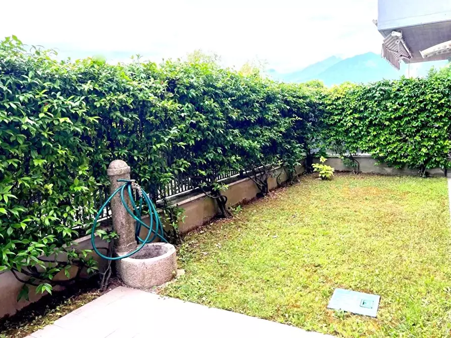 Immagine 2 di Appartamento in vendita  a Massa