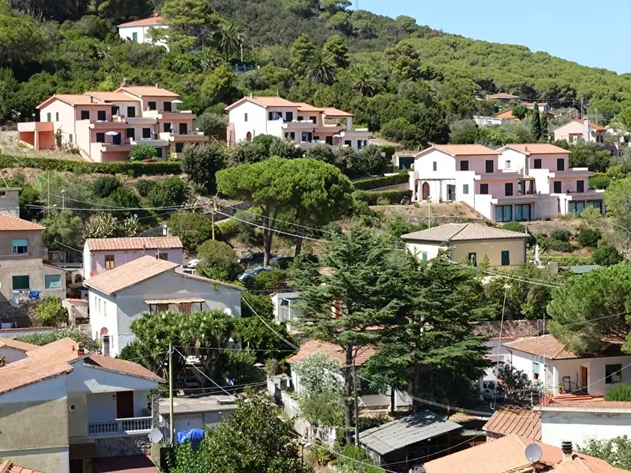 Immagine 2 di Villa in vendita  a Rio Marina