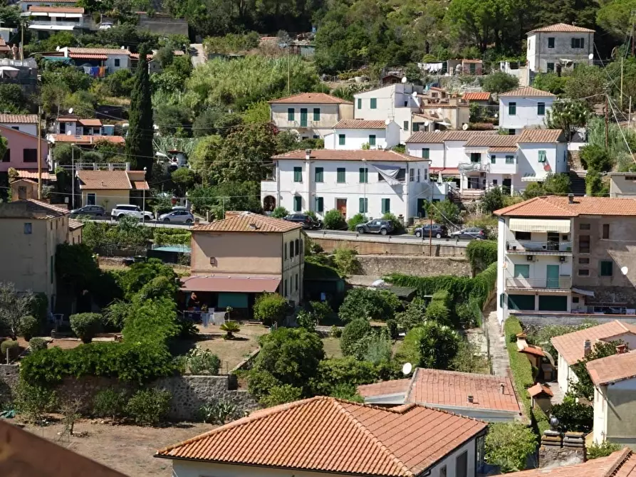Immagine 3 di Villa in vendita  a Rio Marina