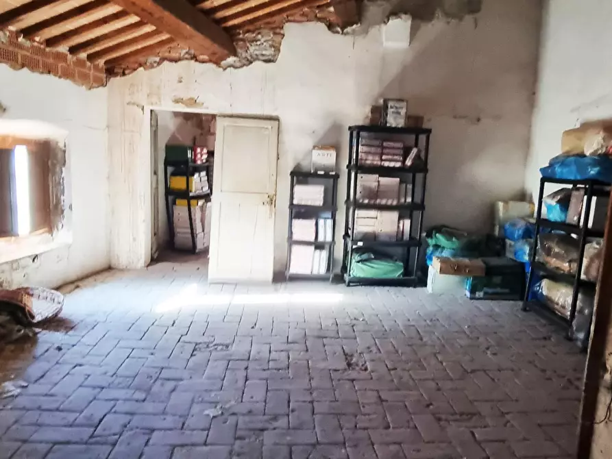 Immagine 8 di Appartamento in vendita  a Terricciola