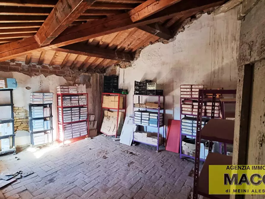 Immagine 9 di Appartamento in vendita  a Terricciola