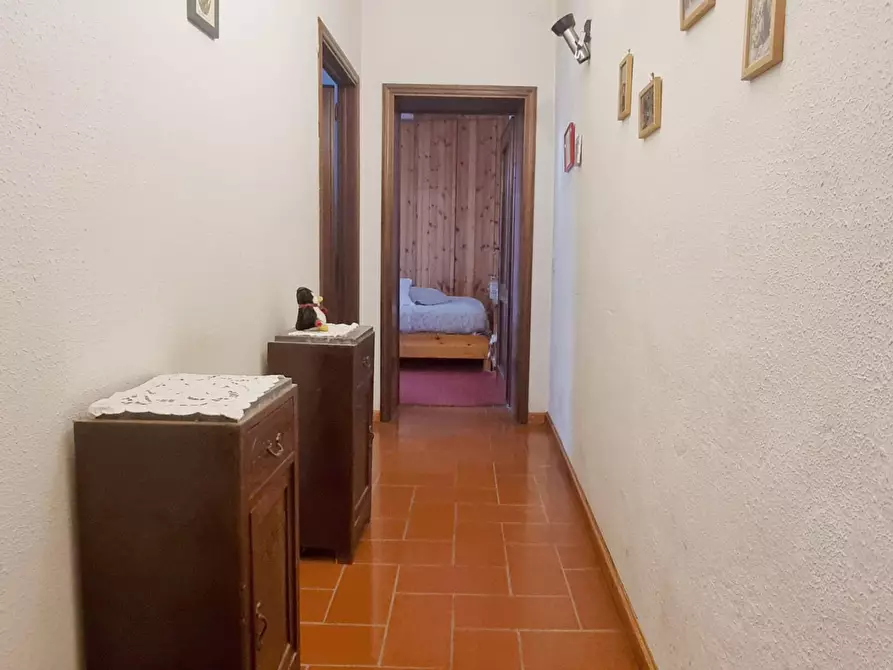 Immagine 9 di Terratetto in vendita  a Terricciola