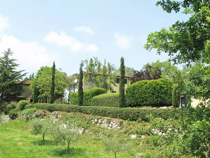 Immagine 7 di Agriturismo in vendita  a Bucine