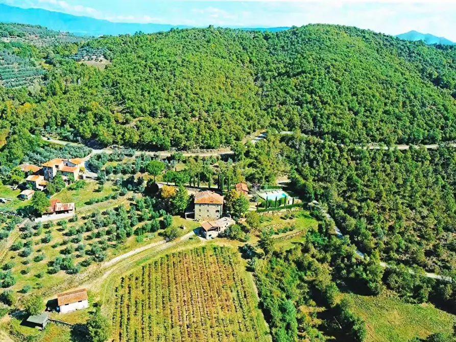 Immagine 5 di Agriturismo in vendita  a Bucine