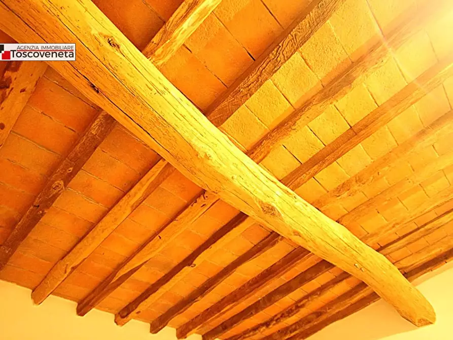 Immagine 19 di Appartamento in affitto  a Lucca