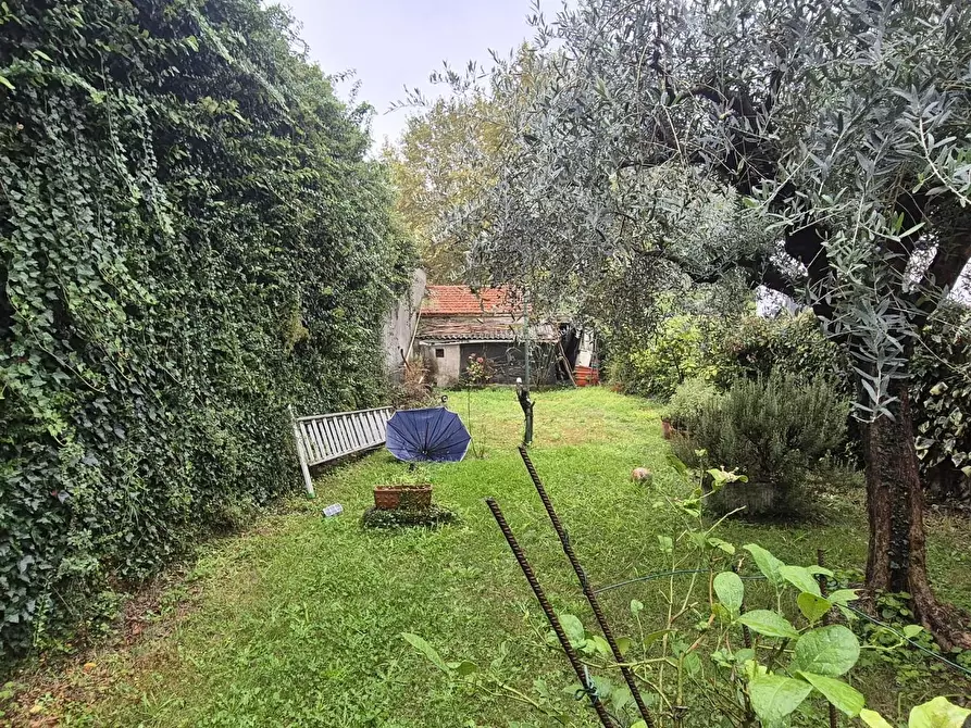 Immagine 3 di Appartamento in vendita  a Lucca