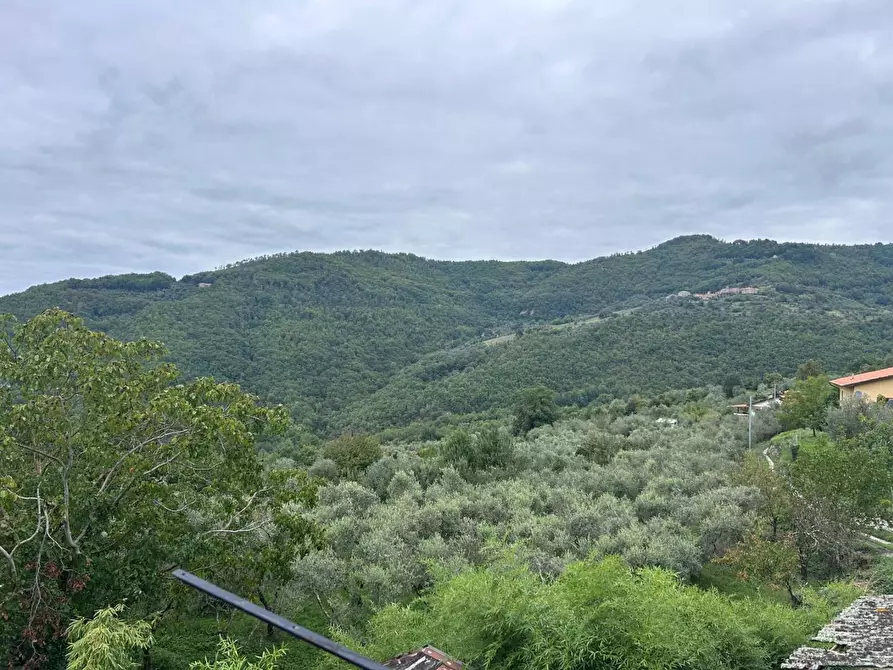 Immagine 15 di Appartamento in vendita  a Casola In Lunigiana