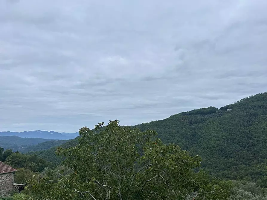 Immagine 2 di Appartamento in vendita  a Casola In Lunigiana