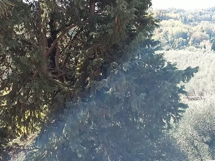 Immagine 19 di Casa semindipendente in vendita  a Terricciola