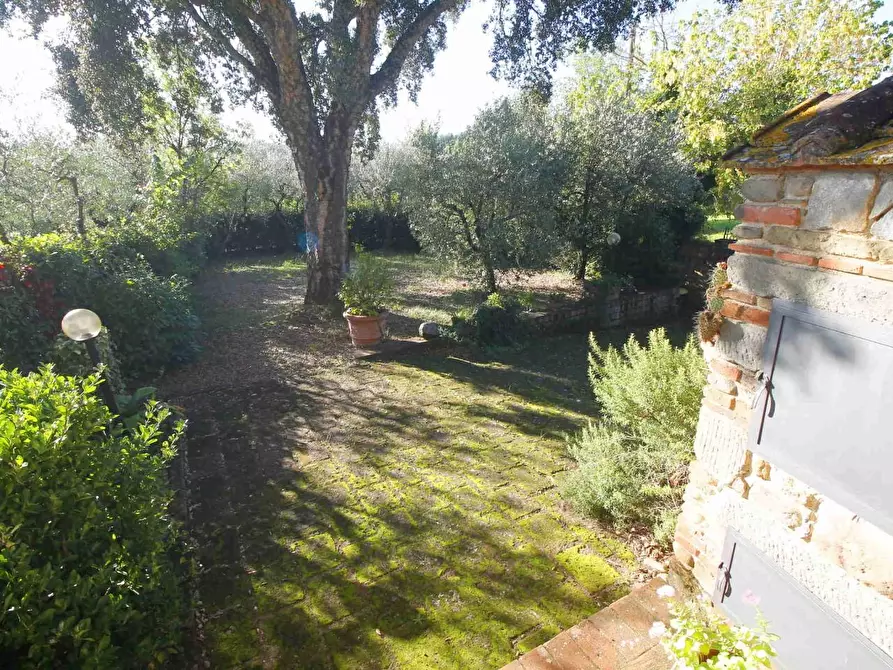 Immagine 9 di Casa colonica in affitto  a Vinci