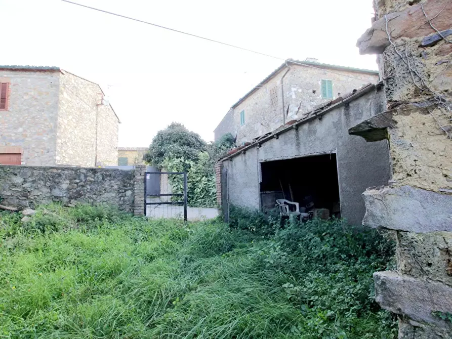 Immagine 2 di Appartamento in vendita  a Monticiano