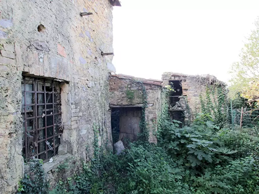 Immagine 3 di Appartamento in vendita  a Monticiano