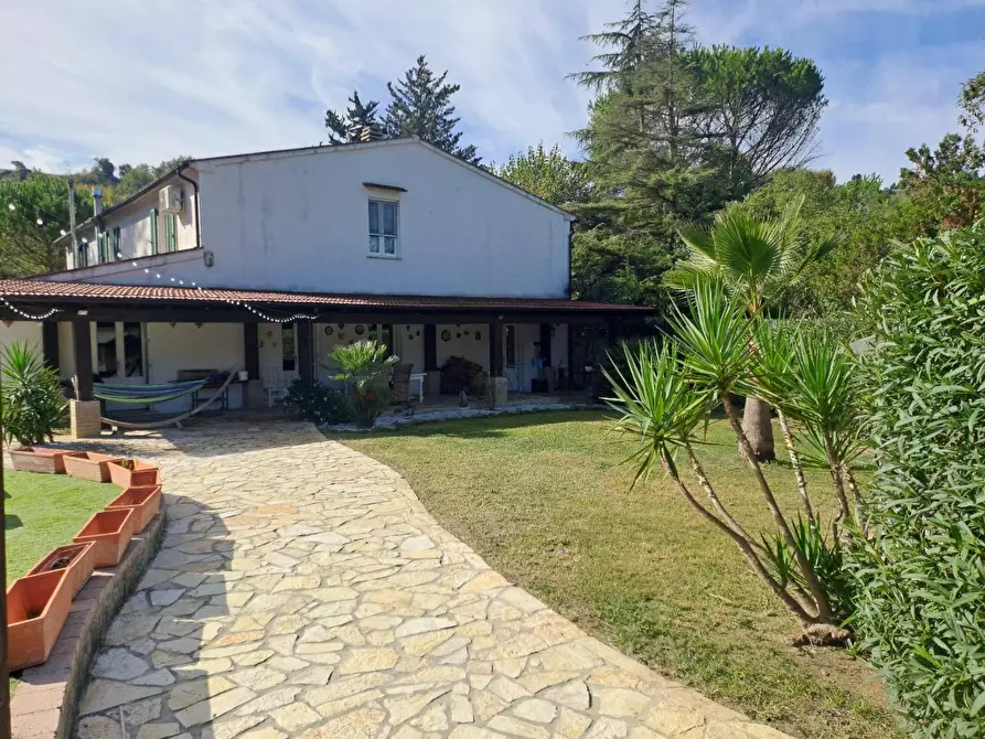 Immagine 3 di Casa bifamiliare in vendita  a Casciana Terme Lari