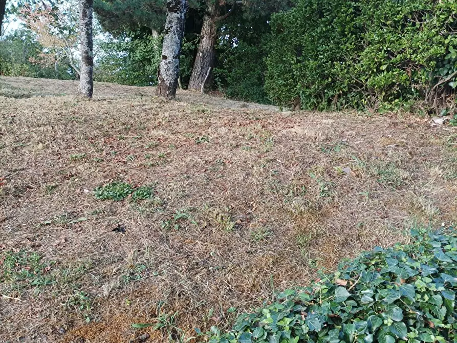 Immagine 21 di Terratetto in vendita  a Castelnuovo Di Garfagnana