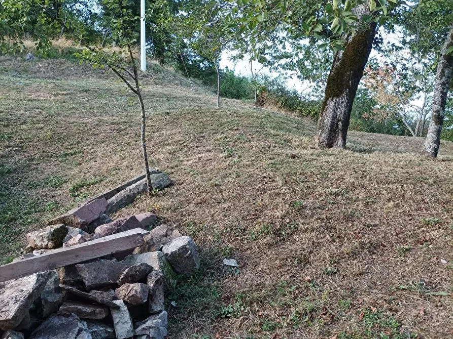 Immagine 20 di Terratetto in vendita  a Castelnuovo Di Garfagnana