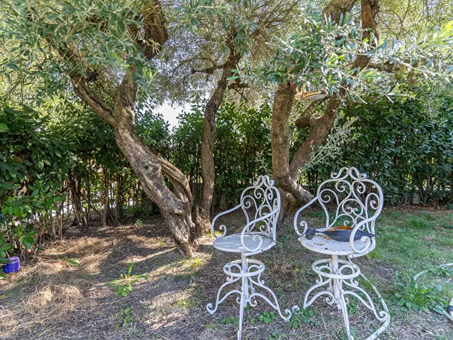 Immagine 49 di Appartamento in vendita  a Vinci