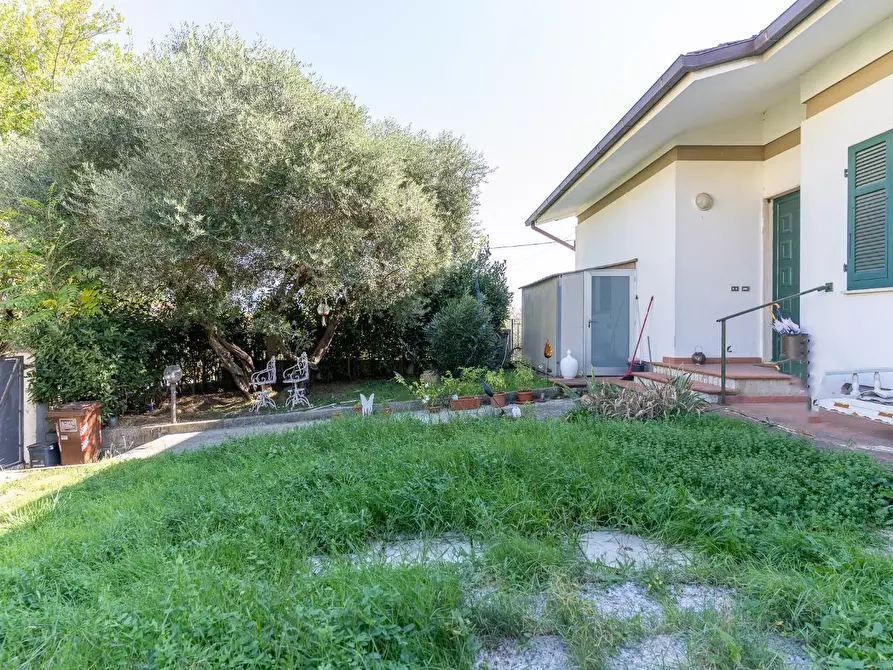 Immagine 46 di Appartamento in vendita  a Vinci