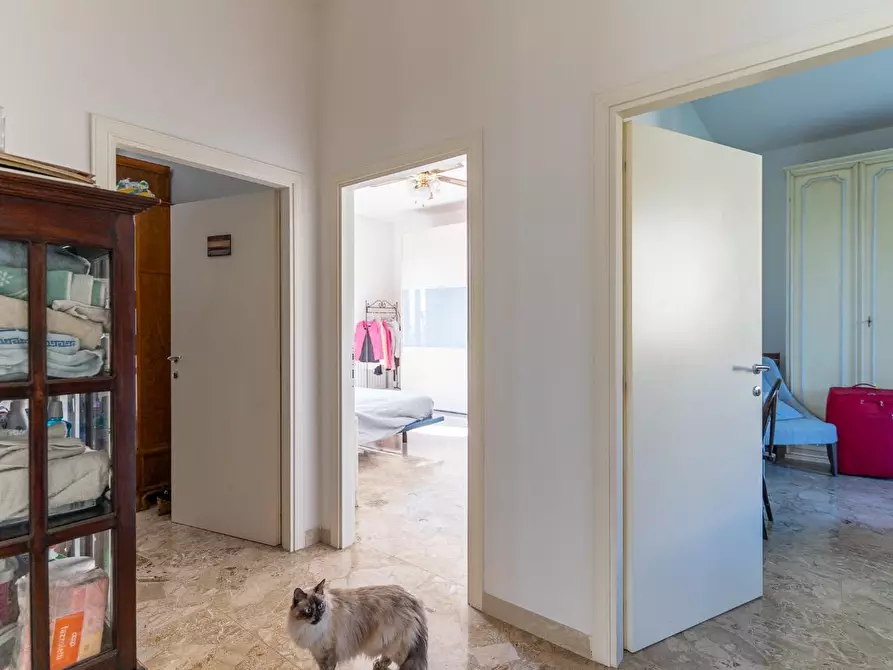 Immagine 29 di Appartamento in vendita  a Vinci