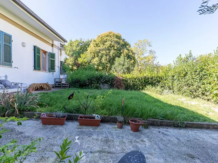 Immagine 48 di Appartamento in vendita  a Vinci