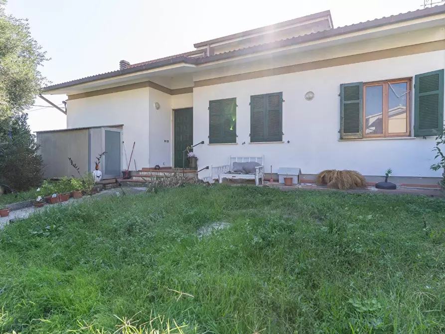 Immagine 3 di Appartamento in vendita  a Vinci