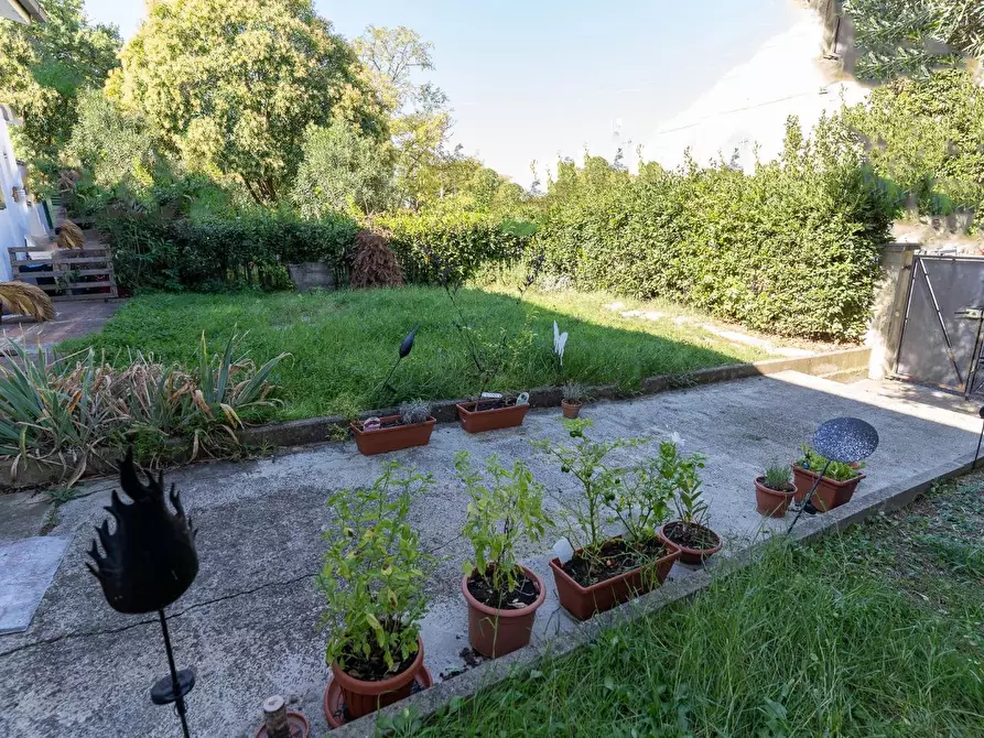 Immagine 4 di Appartamento in vendita  a Vinci