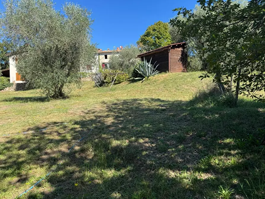 Immagine 19 di Casa indipendente in vendita  a Monticiano