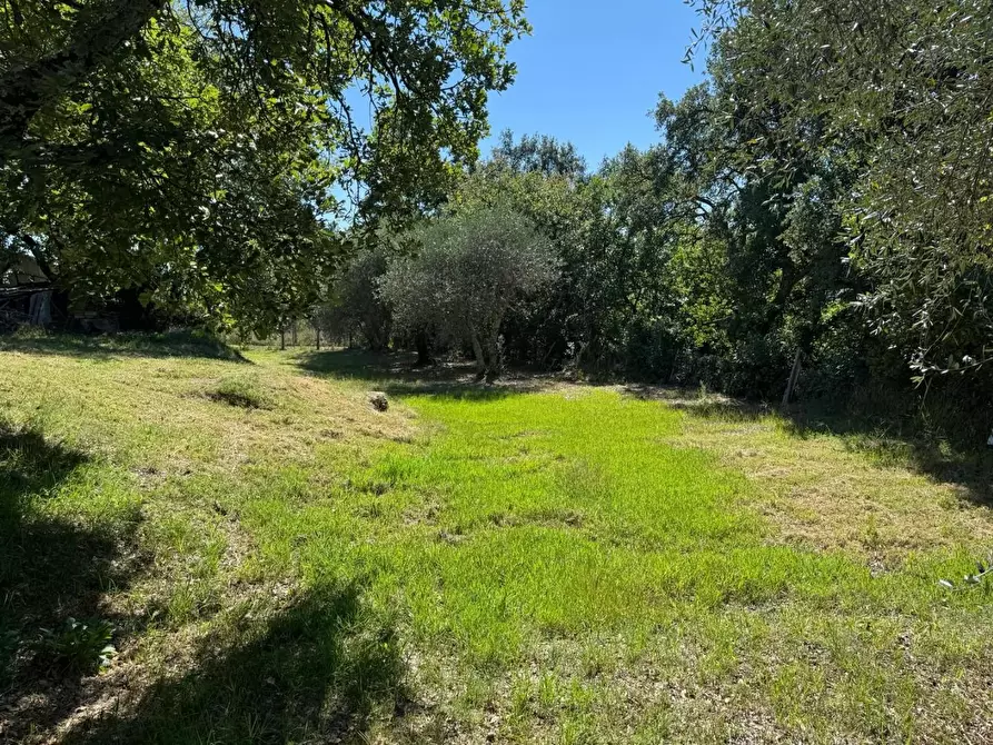 Immagine 20 di Casa indipendente in vendita  a Monticiano