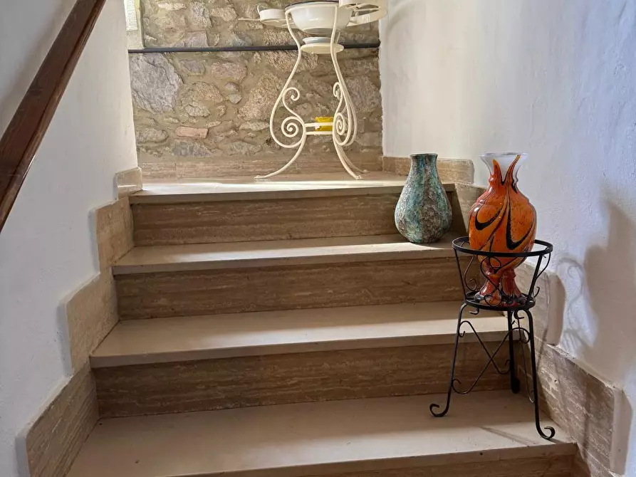 Immagine 11 di Casa indipendente in vendita  a Monticiano