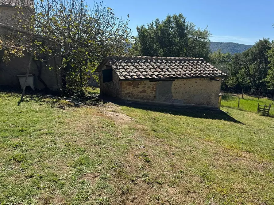 Immagine 26 di Casa indipendente in vendita  a Monticiano