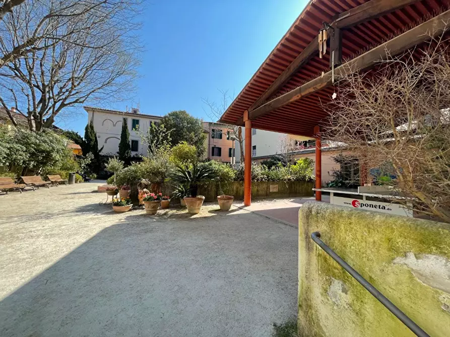 Immagine 2 di Appartamento in affitto  a Pisa