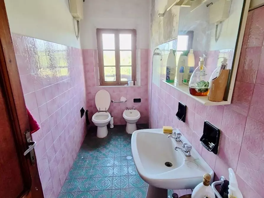 Immagine 19 di Rustico / casale in vendita  a Santa Croce Sull'arno