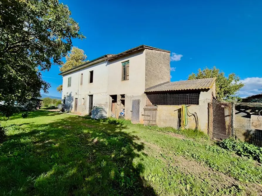 Immagine 3 di Rustico / casale in vendita  a Santa Croce Sull'arno