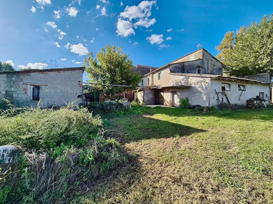 Immagine 4 di Rustico / casale in vendita  a Santa Croce Sull'arno