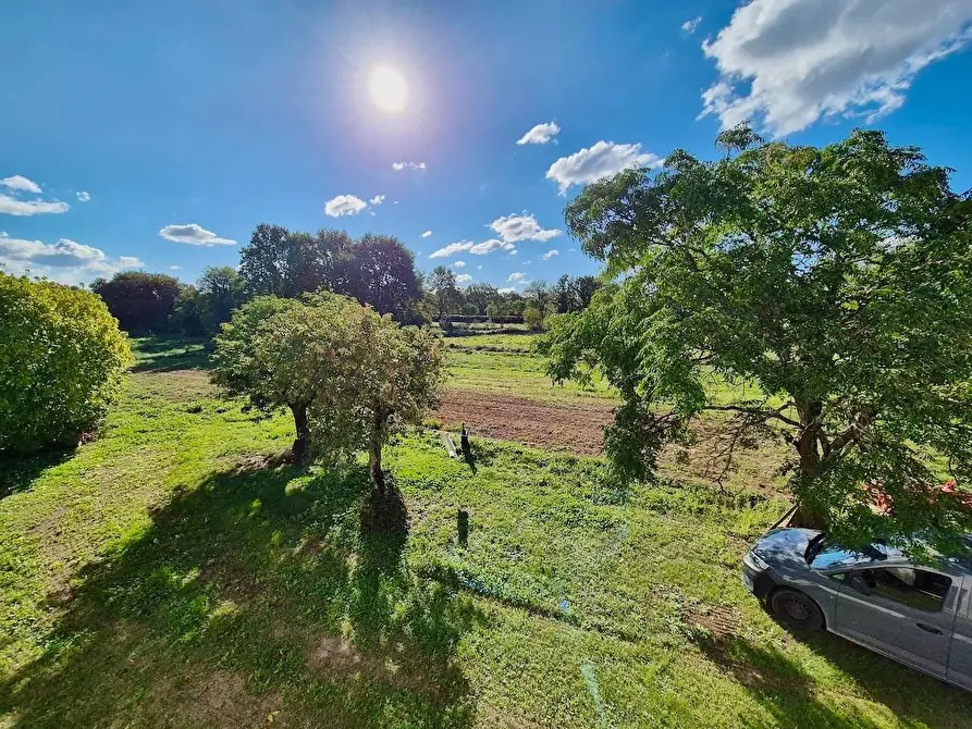 Immagine 33 di Rustico / casale in vendita  a Santa Croce Sull'arno