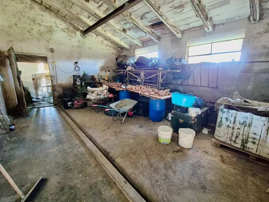 Immagine 37 di Rustico / casale in vendita  a Santa Croce Sull'arno