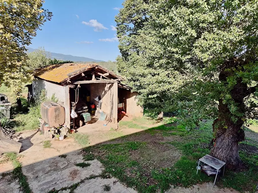 Immagine 25 di Rustico / casale in vendita  a Santa Croce Sull'arno