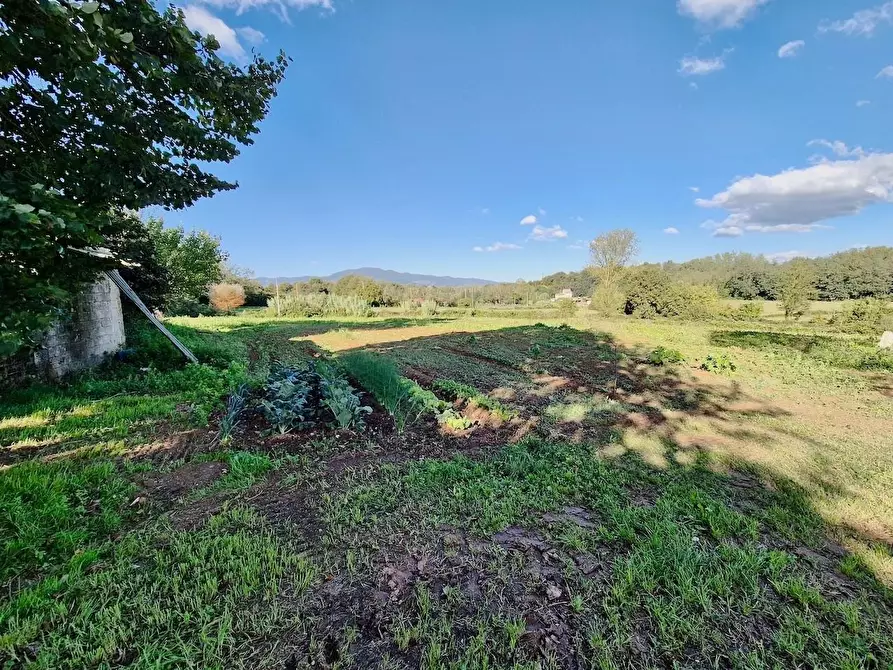 Immagine 6 di Rustico / casale in vendita  a Santa Croce Sull'arno