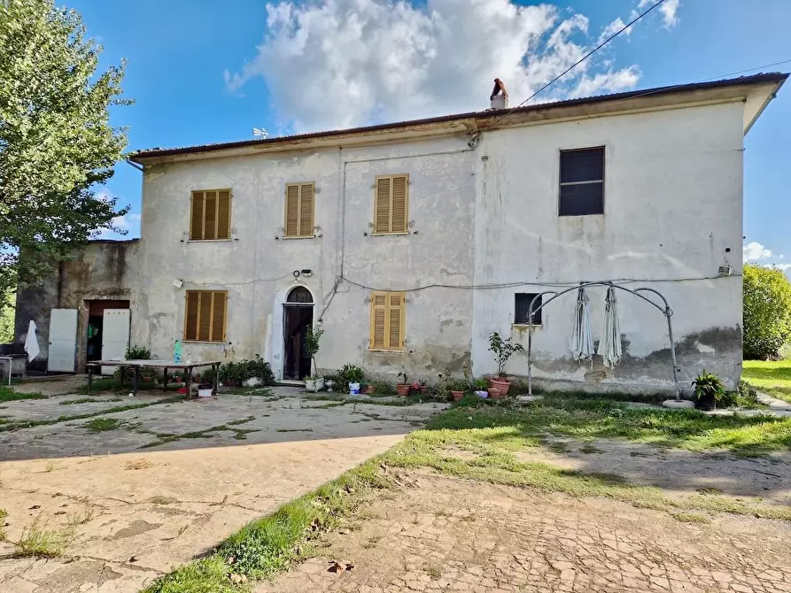 Immagine 2 di Rustico / casale in vendita  a Santa Croce Sull'arno