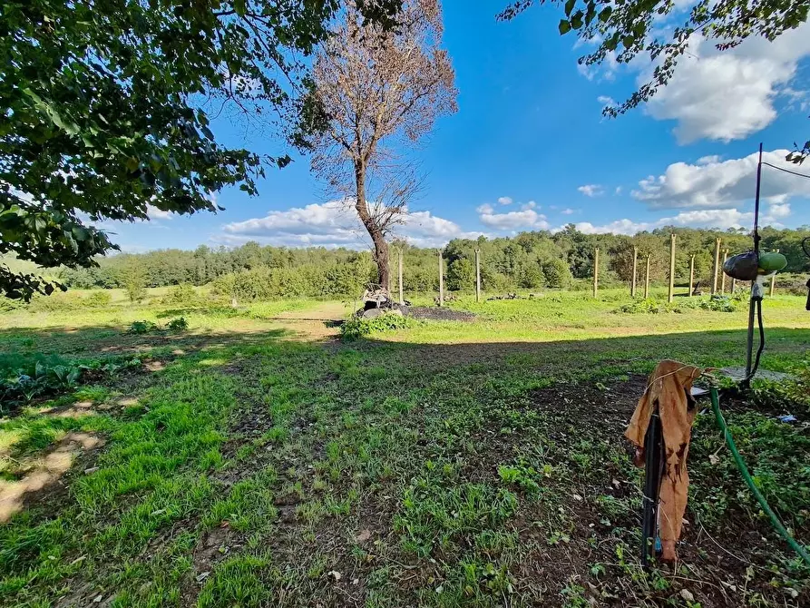 Immagine 42 di Rustico / casale in vendita  a Santa Croce Sull'arno