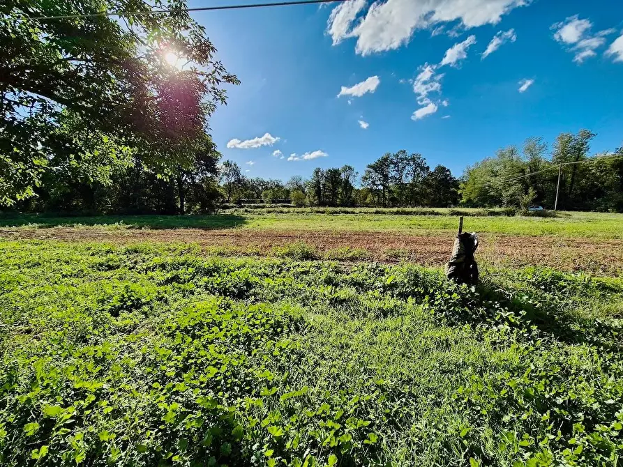 Immagine 12 di Rustico / casale in vendita  a Santa Croce Sull'arno