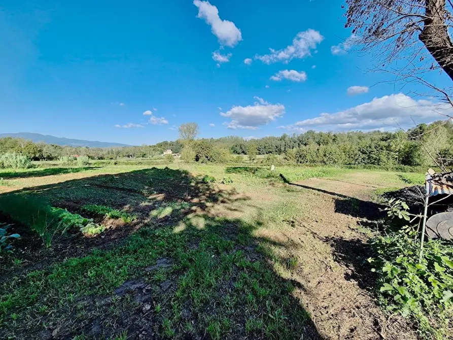 Immagine 5 di Rustico / casale in vendita  a Santa Croce Sull'arno